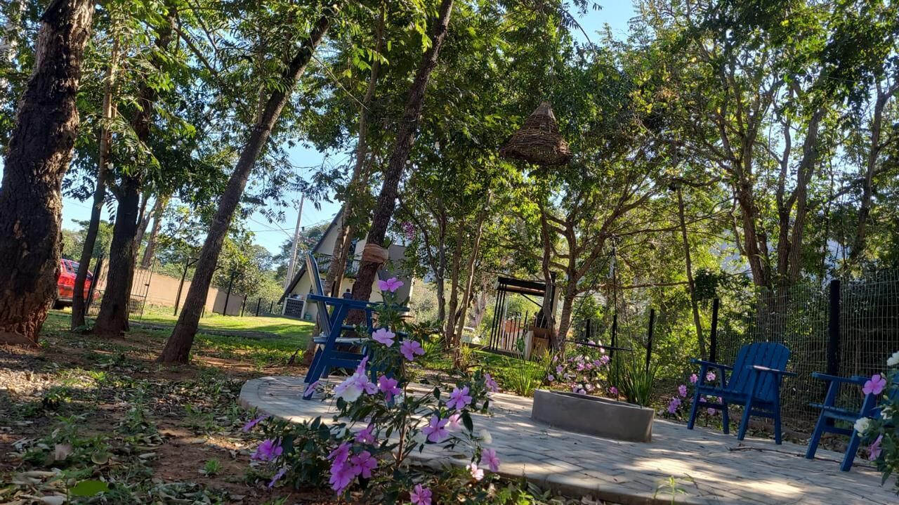 Un parque con árboles, una silla azul y un banco de hormigón.
