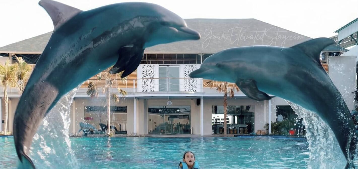 Une statue de dauphin dans une piscine, avec un bâtiment en arrière-plan.