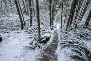 Ein verschneiter Waldweg.