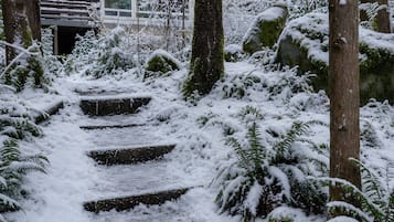 En snedækket sti, der snor sig gennem et skovområde med høje træer og en bygning i baggrunden.