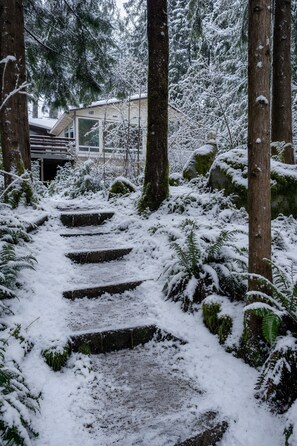 A snow-covered pathway leading through a forested area with large trees and a building in the background.