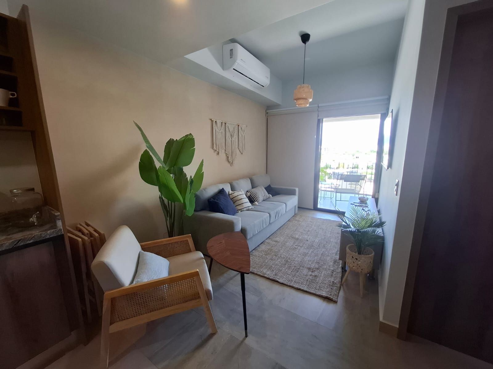 A modern living room with a grey sofa, a wicker chair, a large green plant, and a dining area with a table and chairs.