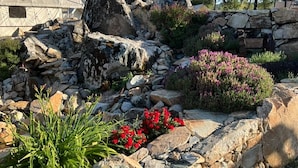 Un jardin rocailleux avec un mur de pierres, des fleurs rouges et une structure ressemblant à une tente.