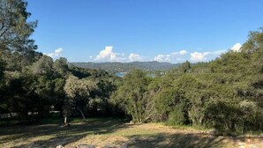 A natural landscape with trees and a clear sky.