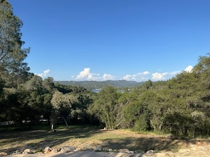 A natural landscape with trees and a clear sky.