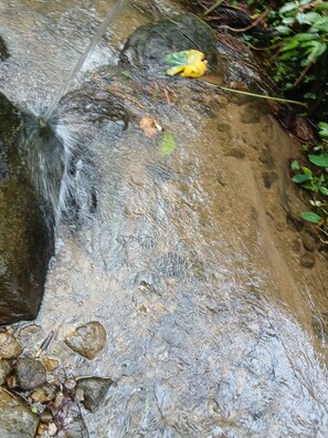 Ein Bach fließt über Felsen, Wasser spritzt.