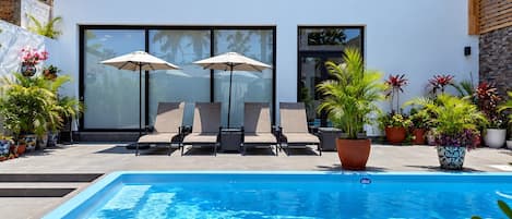 Una piscina con sillas de descanso y sombrillas, rodeada de plantas en macetas.