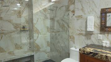 A modern bathroom with a glass-enclosed shower, a toilet, and a vanity with a marble countertop.