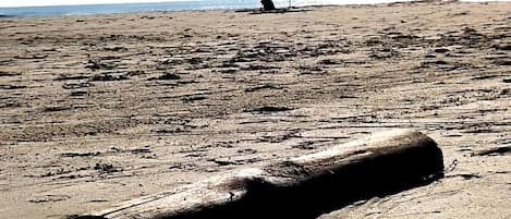 Una playa con un tronco grande al frente y un paraguas a lo lejos.