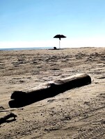 Una playa con un tronco grande al frente y un paraguas a lo lejos.