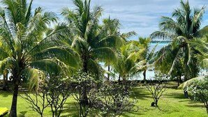 Un jardín tropical con palmeras y vista al océano.