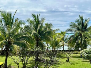 A tropical garden with palm trees and a view of the ocean. - Vrbo Property (Bora-Bora)
