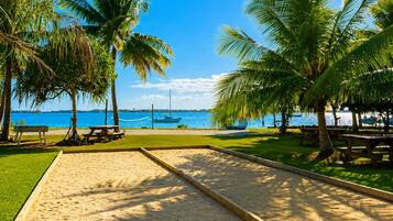 A beach with palm trees, a sandy area, and a view of the sea.