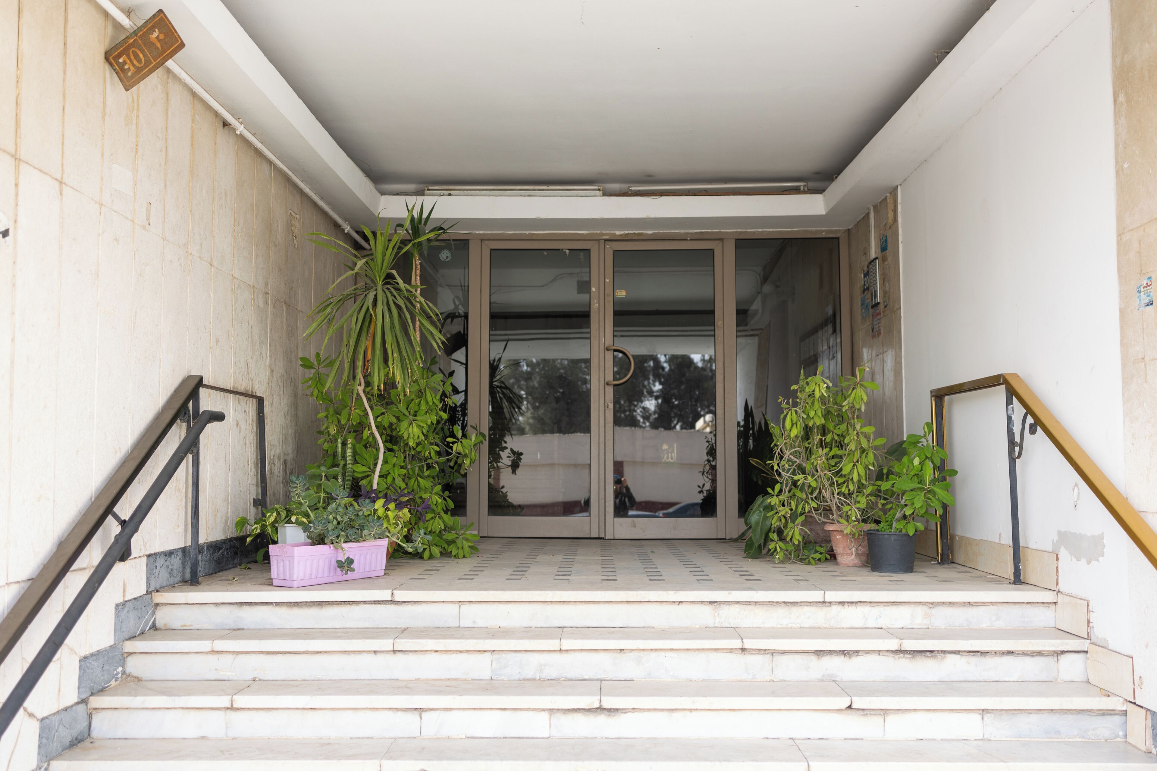 A set of outdoor stairs leading to a building entrance with glass doors, surrounded by potted plants.