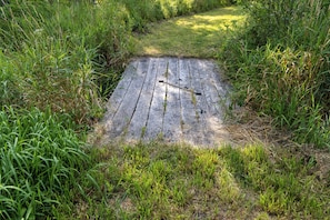 A weathered wooden boardwalk surrounded by tall grass and greenery.