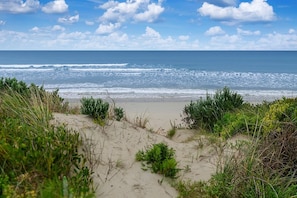 A beach with sand dunes and vegetation. - Eye of The Dune (Glenelg)