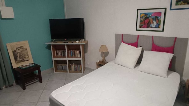 Una camera da letto con un letto, una televisione su un mobile, una libreria e un quadro appeso al muro.