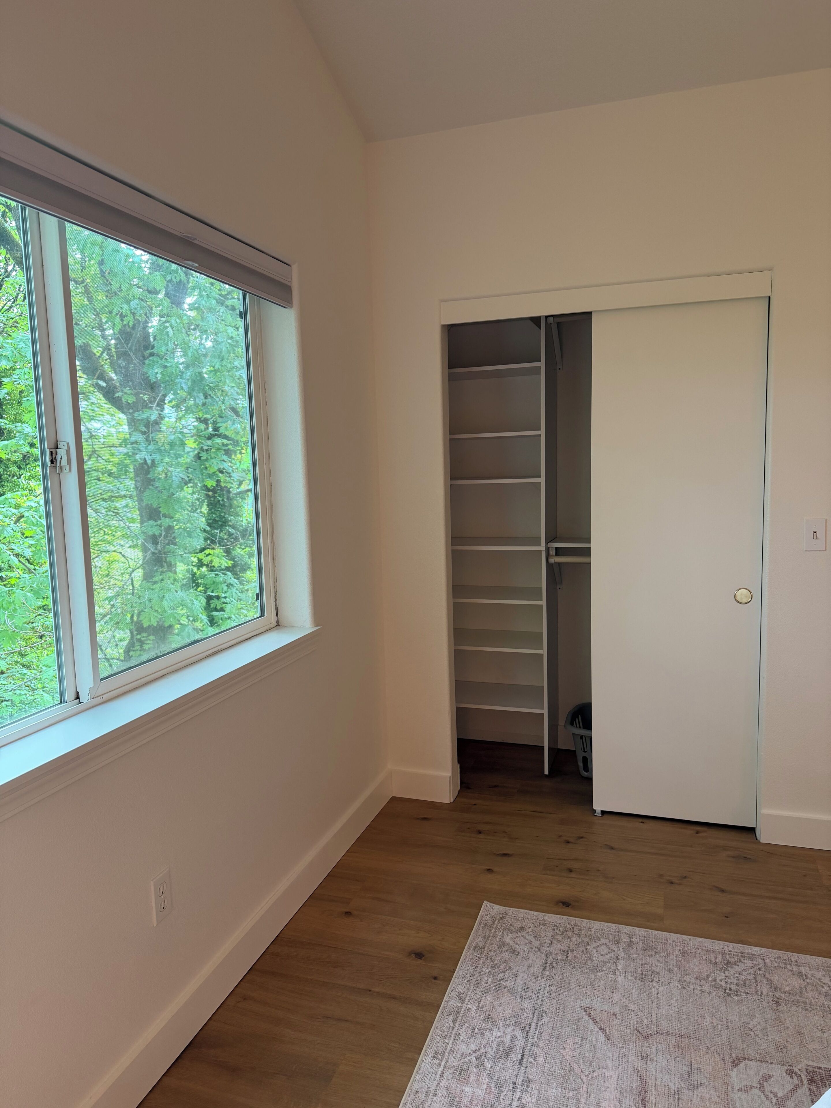 A room with a large window, wooden flooring, and a closet with multiple shelves.