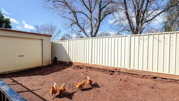 A fenced outdoor area with chickens, a building with a closed shutter, and trees in the background.