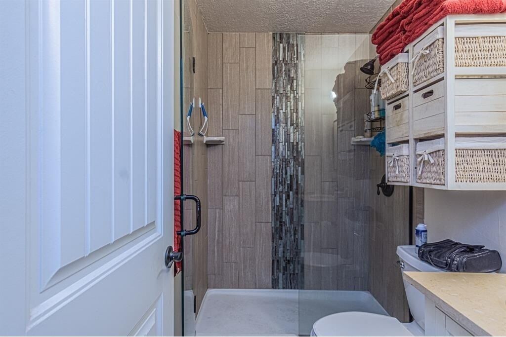 Shower, towels, toilet paper