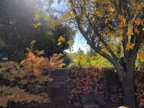 Ein Garten mit einer Holzbank, einem Baum mit gelben Blättern und einem Holzzaun.