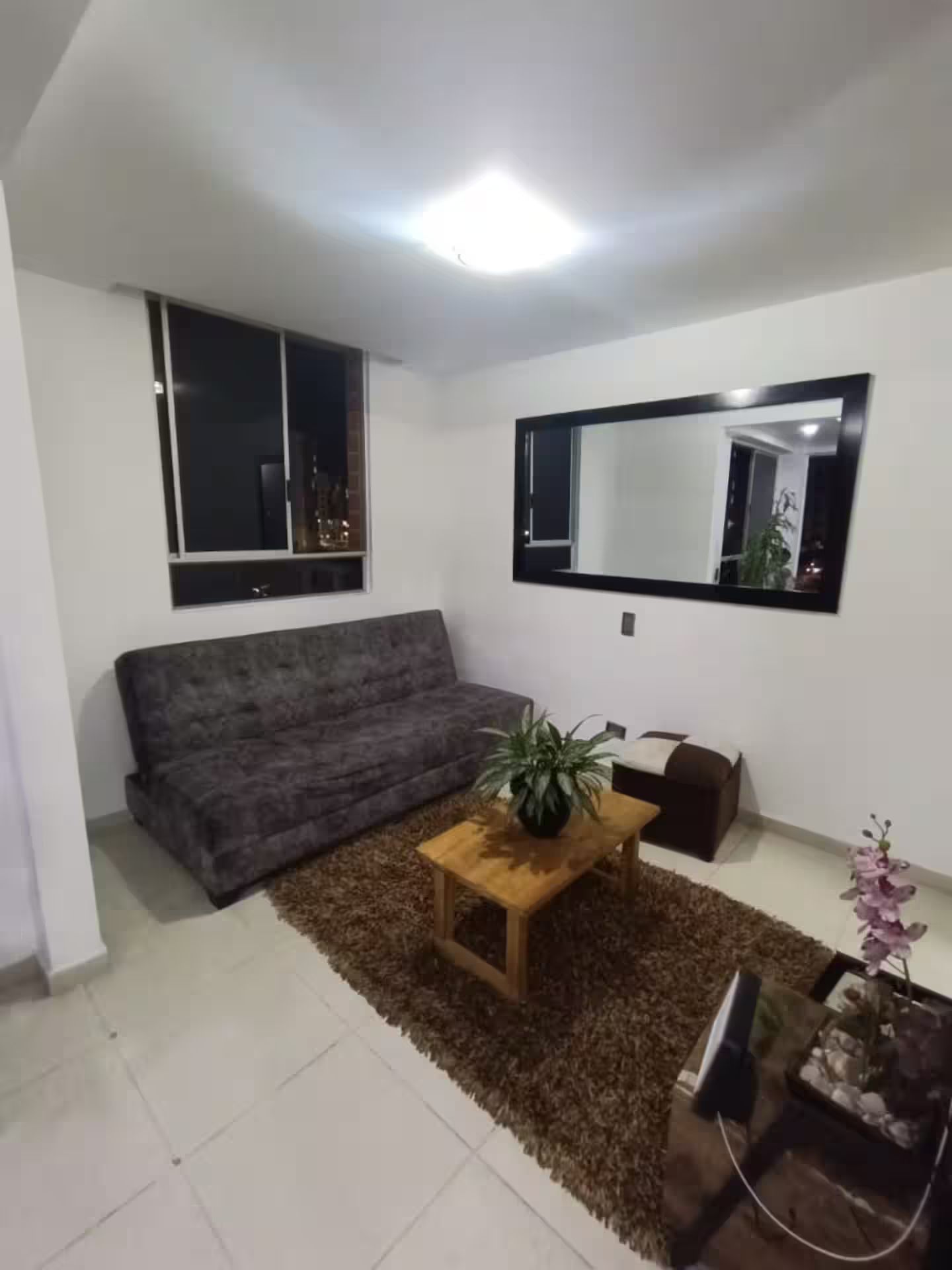 A living room with a sofa, a coffee table, a mirror, and a potted plant.