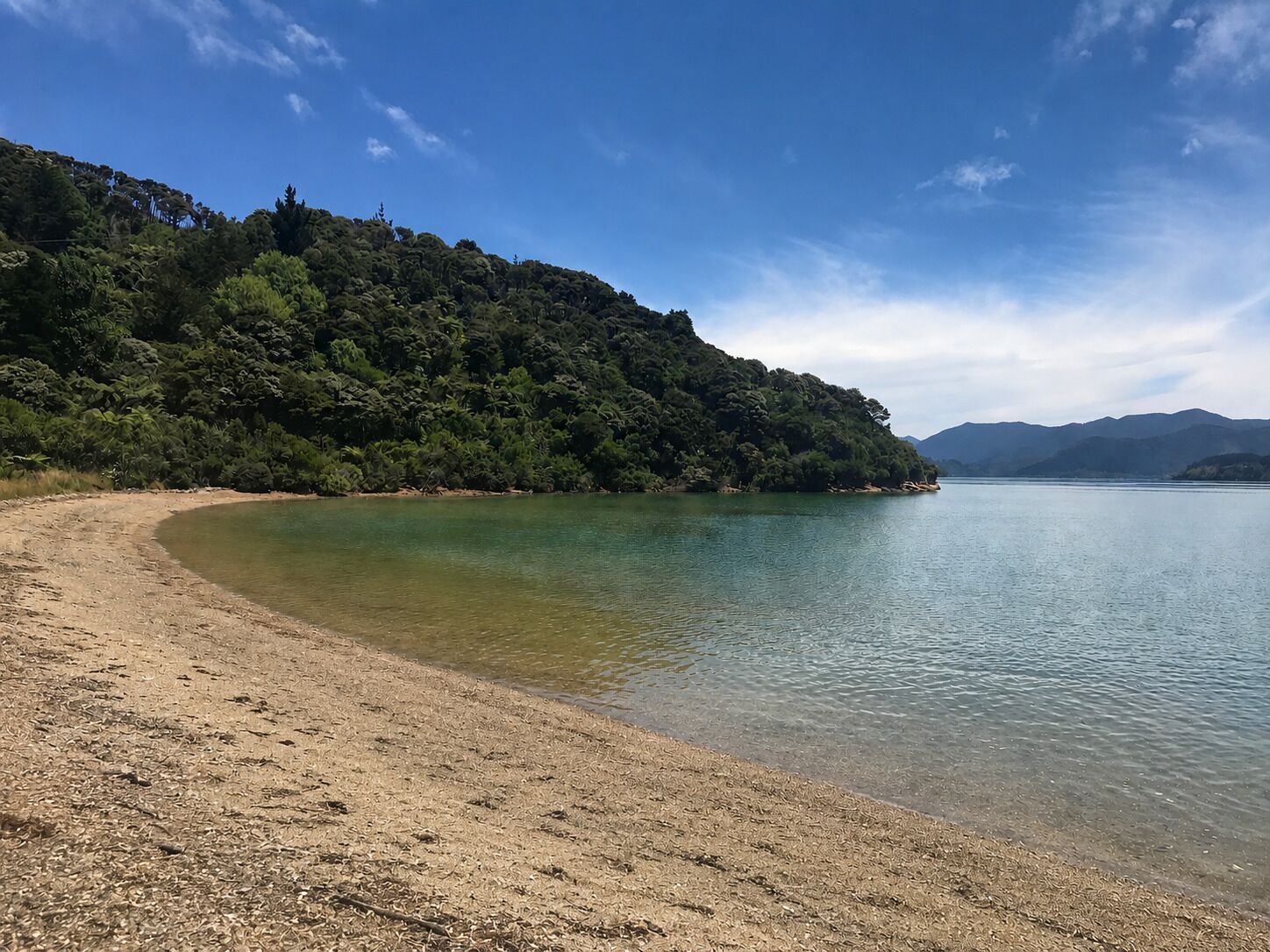 A beach with clear water, a sandy shore, and a forested hillside.