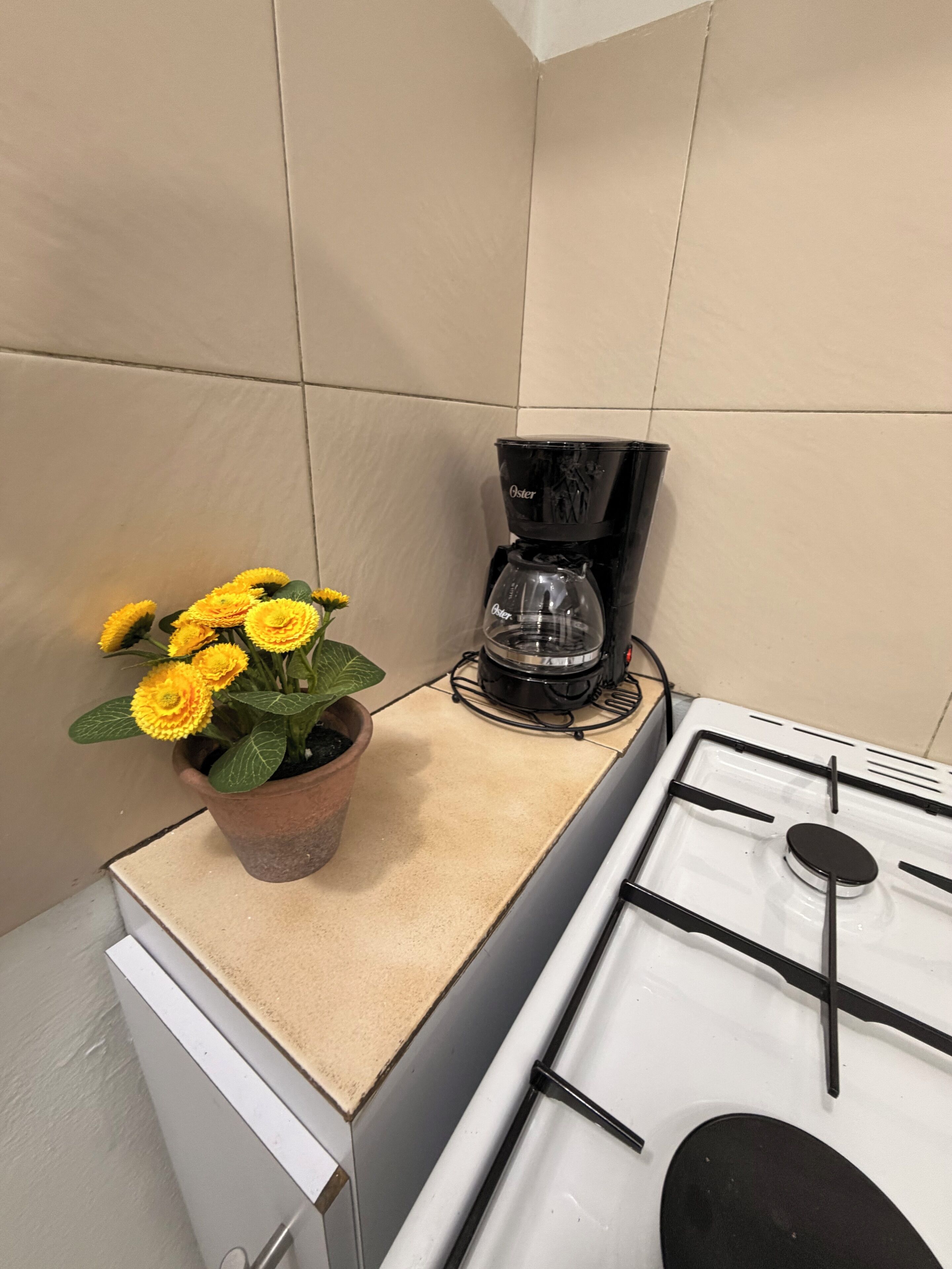 Una cocina con estufa a gas, cafetera y una planta en maceta con flores amarillas.