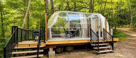 A transparent, dome-shaped structure with a wooden deck and black railings, surrounded by a forest.