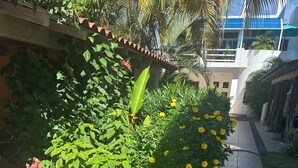 A pathway flanked by lush greenery and flowering plants. - Perfect retreat 2 blks from beach in Villa Obregón neighbourhood  Melaque! (San Patricio)