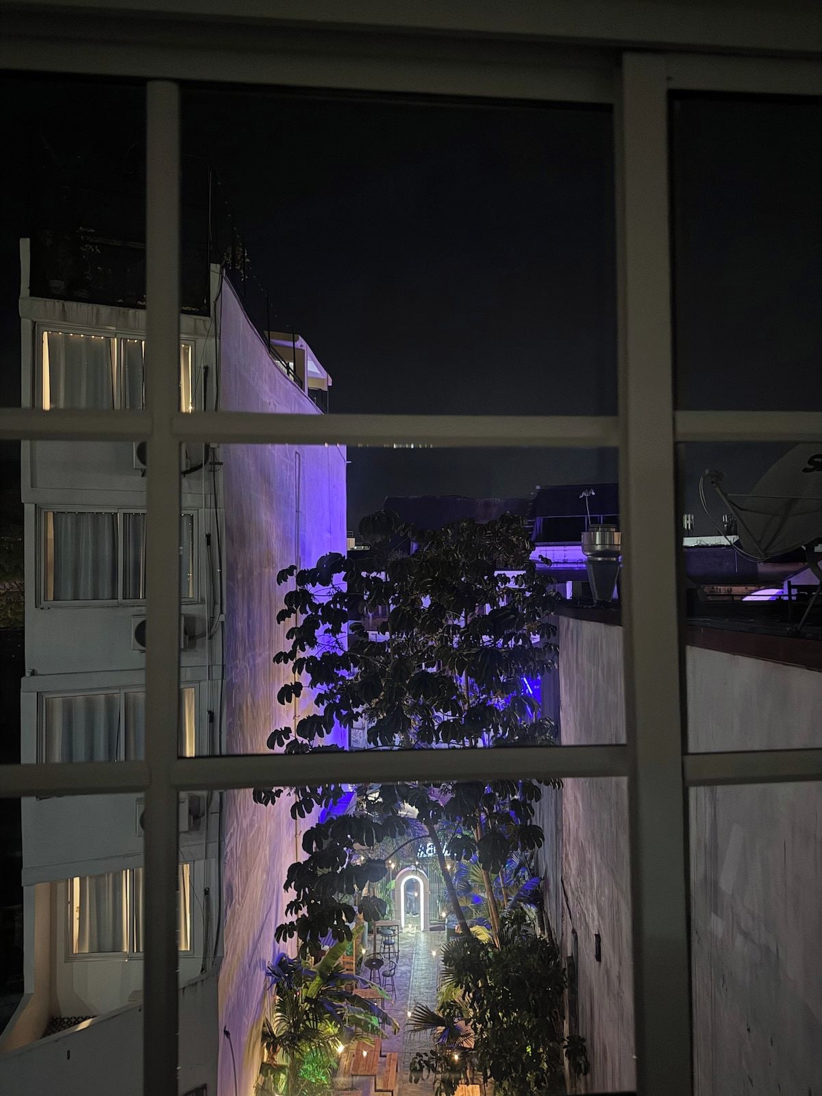 Ein Gebäude bei Nacht, dessen Fenster beleuchtet sind, mit einem Baum im Vordergrund.