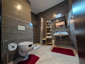 Double Room, Partial Lake View | Bilik Mandi | Kelengkapan dandanan diri percuma, pengering rambut, tuala disediakan 