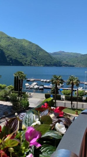 A marina with boats docked, surrounded by lush greenery and hills.