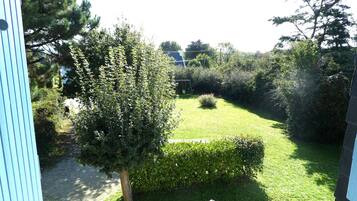 A garden with a lawn, a hedge, and a tree.