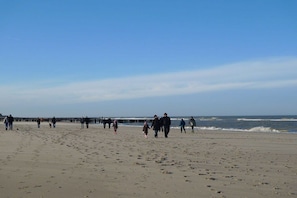 A beach with people walking along the shore and a pier extending into the water. - Holiday apartment with 1 bedroom (oostkapelle)