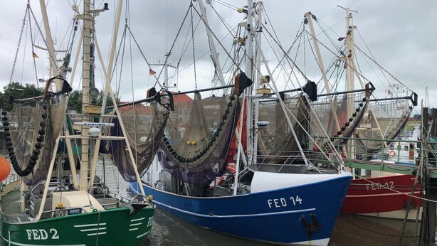 A harbor with several fishing boats docked, featuring nets and fishing equipment. - Vrbo Property (Butjadingen)