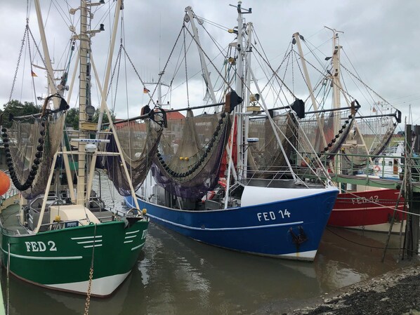 Un porto con diverse barche da pesca ormeggiate, con reti e attrezzi da pesca.