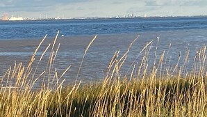 Beach - Vrbo Property (Butjadingen)