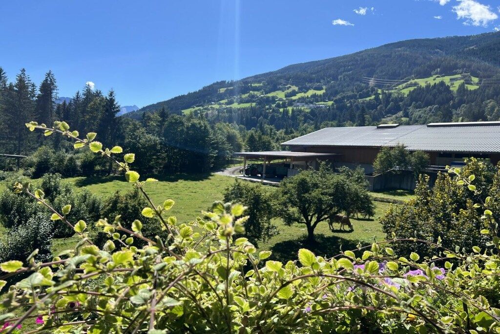 Ein Gebäude mit einem geneigten Dach, umgeben von einer üppigen grünen Landschaft und einem Berg im Hintergrund.