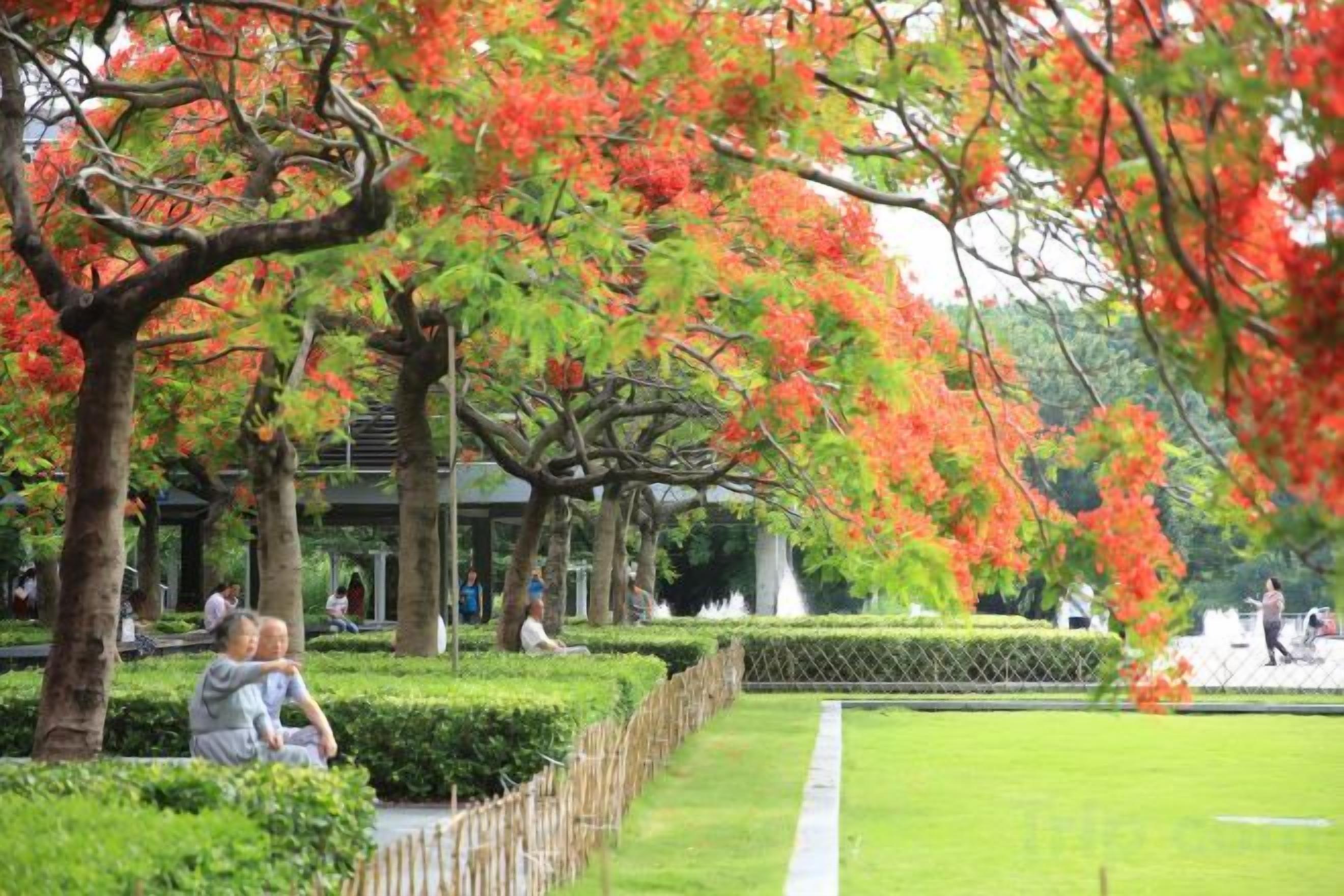 Un parque con árboles, un sendero y gente.