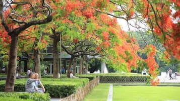Un parque con árboles, un sendero y gente.