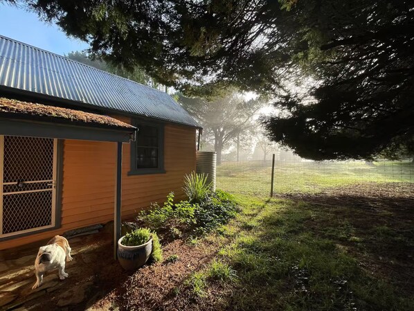 A house with a metal roof, a fenced yard, and a dog in the foreground.