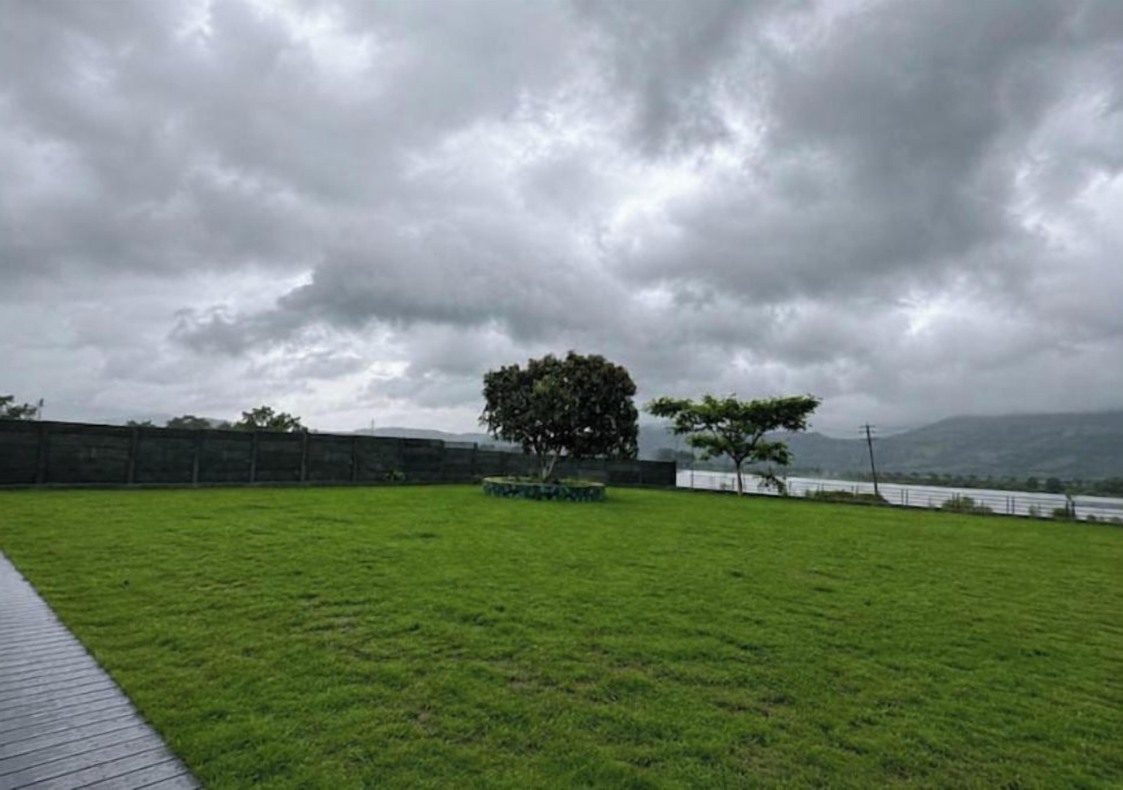 A grassy field with a tree and a fence in the background.