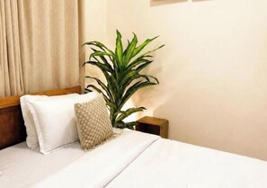 A hotel room with a bed, a nightstand, a potted plant, and a window with curtains.