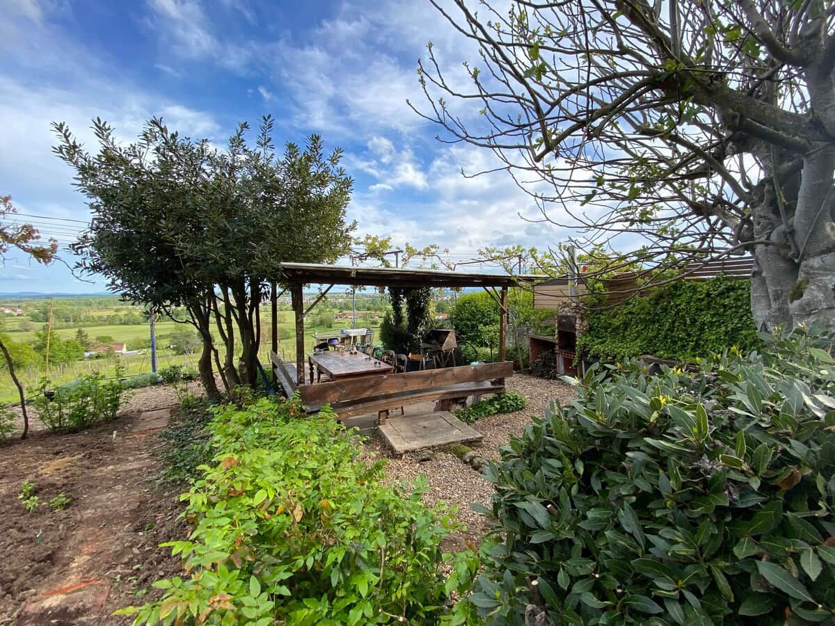 Un patio exterior con mesa y sillas de madera, rodeado de follaje y vistas al campo.