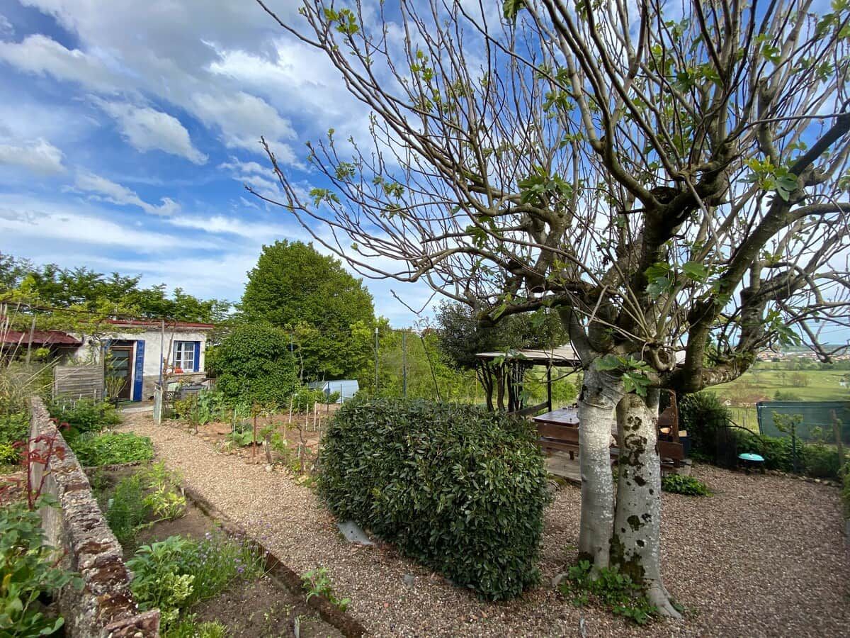 Un jardín con un árbol, un arbusto y una pequeña construcción con puerta azul.