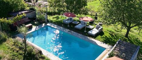 Una piscina rectangular con sillas de descanso y sombrillas, rodeada de follaje y árboles.