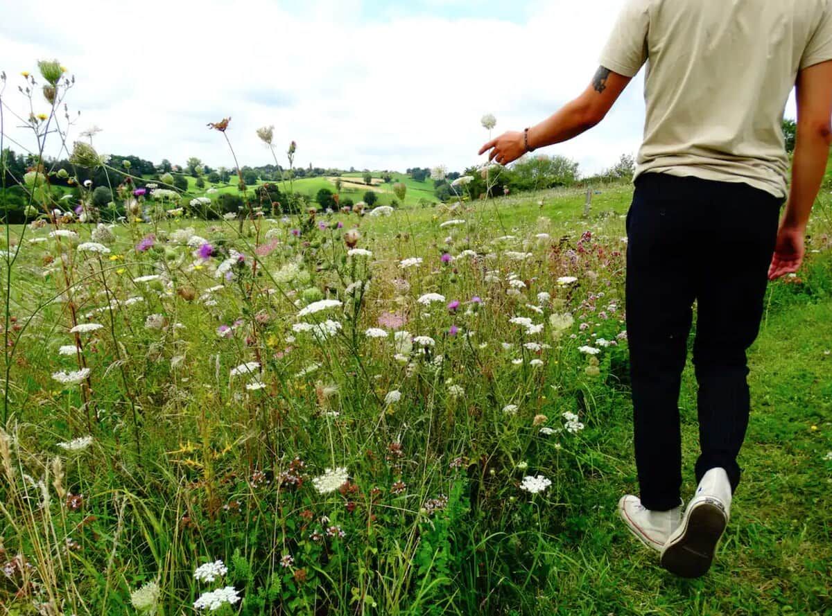 A person walking through a field of wildflowers.