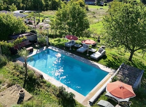 Et rektangulært poolområde med liggestole og parasoller, omgivet af vegetation og træer.