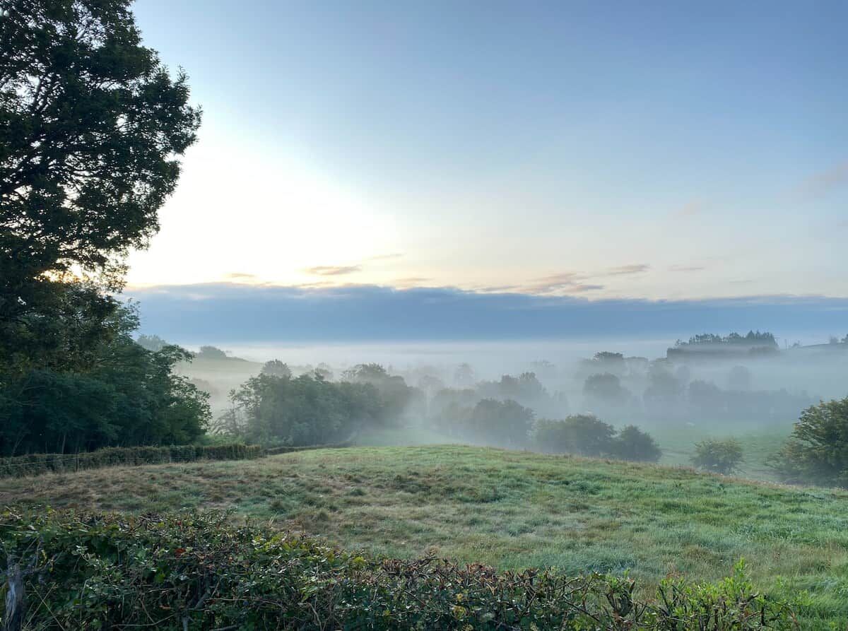 Un paysage avec un arbre à gauche et un champ brumeux au loin.